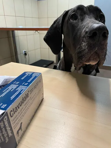 Weterynarz lek.wet.Radosław Trepka